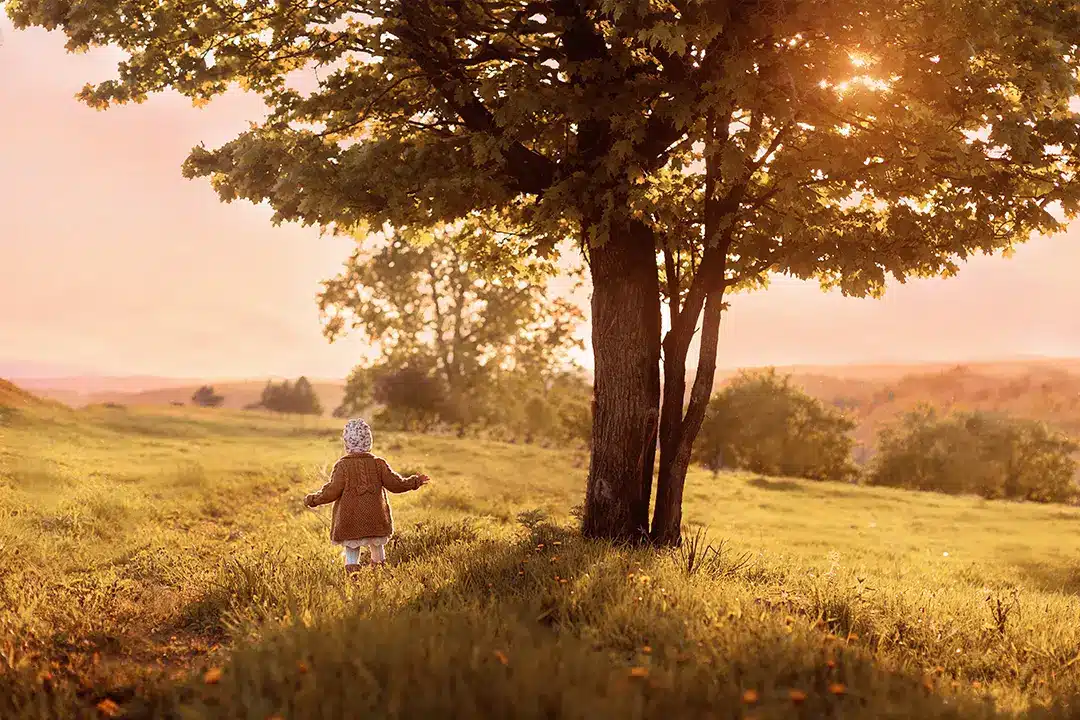 Enfant qui découvre le monde, couché de soleil, un arbre a coté