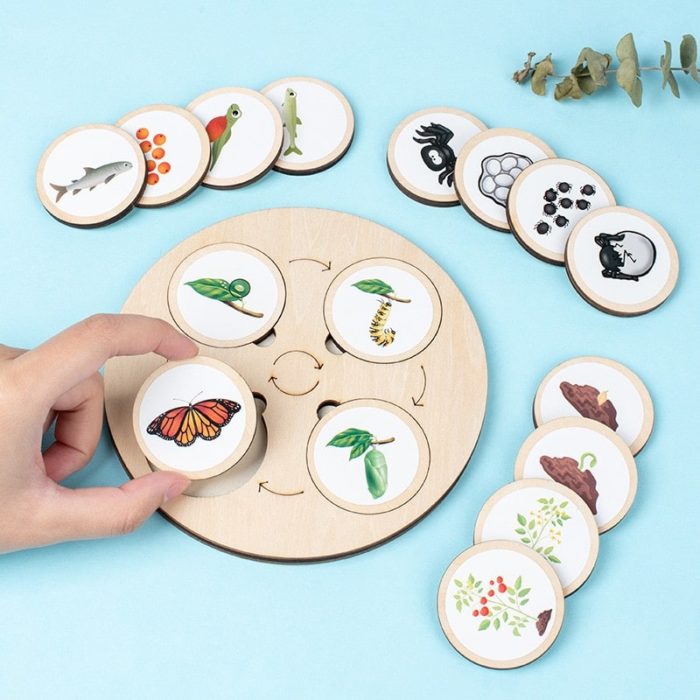Une main tient un jeu de société en bois avec des images d'insectes et de plantes appelé Jeu d'Évolution de la Nature.