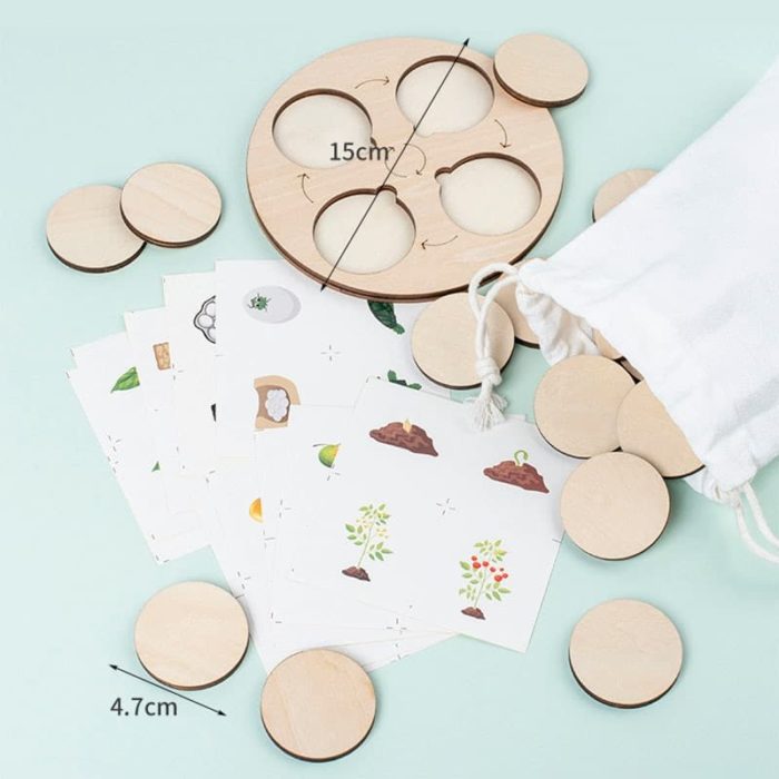 A collection of wooden blocks and a Nature Evolution Game bag.