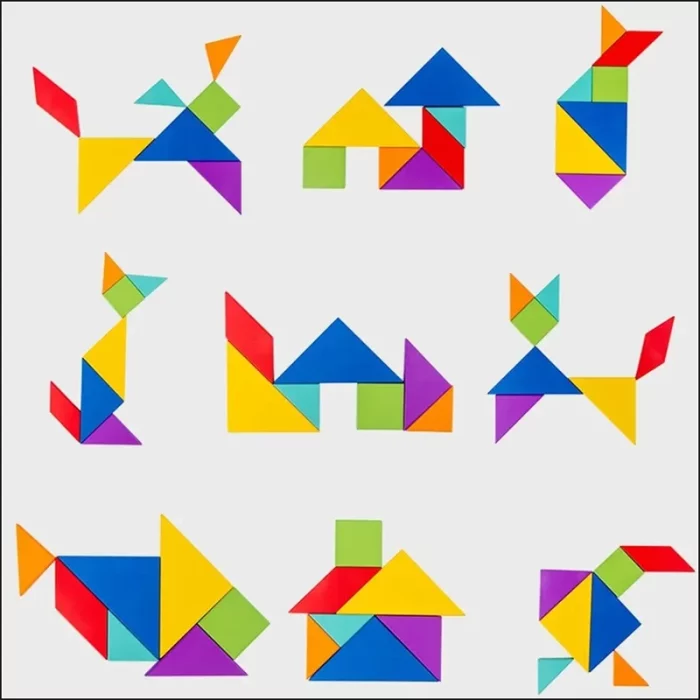 Un ensemble de formes géométriques colorées tirées d'un Livre Puzzle Tangram Magnétique sur fond blanc.